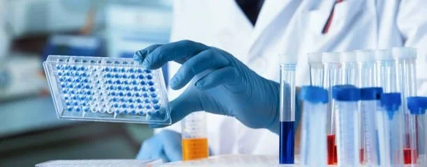 istockphoto-1387090964-612x612-1-r3124sg28qf5ewn1y38pr56scmqn2ox4k656tn11sw